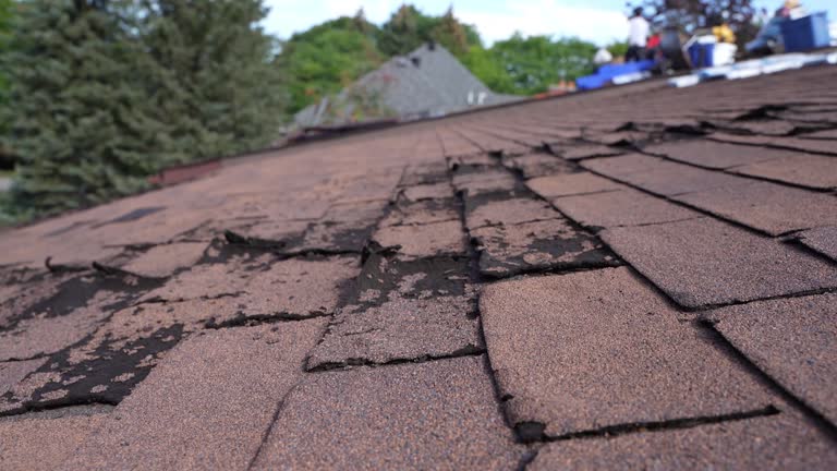  Washington Park, IL Roofing Service Pros