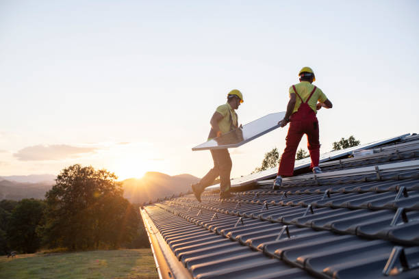 Best Roof Maintenance and Cleaning  in Washington Park, IL
