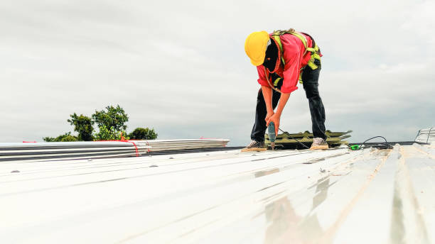 Best Green or Eco-Friendly Roofing Solutions  in Washington Park, IL